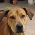 Photo of Ella   A Very Sweet Girl!
