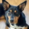 Photo of Molly