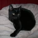 Photo of Missy