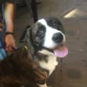 Photo of Missy Dl1632