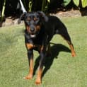 Photo of Roxy