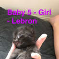 Photo of Lebron