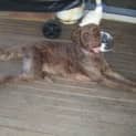 Photo of Mocca