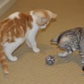 Photo of Monty And Bubbles
