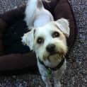 Photo of Jakey