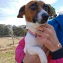 Photo of Roxy
