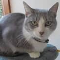 Photo of Sonia