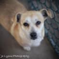 Photo of Matilda ** On Hold For Adoption**