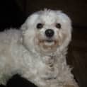 Photo of Sunny