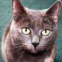Photo of Lilly