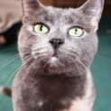 Photo of Lilly