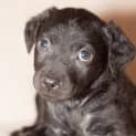 Photo of Curly Sue