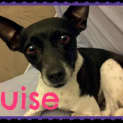 Photo of Louise (On Trial 29/10/12)