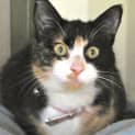 Photo of Lola