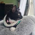 Photo of Thelma   Located In Fawkner