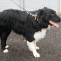 Photo of Jack