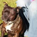 Photo of Storm