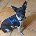 Photo of Buttons