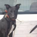 Photo of Tanya/Located In Karratha