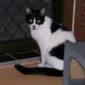 Photo of Timmo