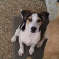 Photo of Burt
