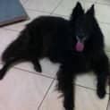 Photo of Celeste