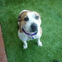 Photo of Indie