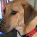 Photo of Rupert