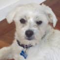 Photo of Sam