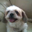 Photo of Rascal