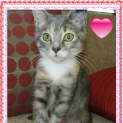 Photo of Bel