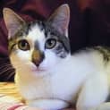 Photo of Stormy