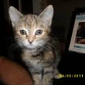 Photo of Hera