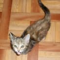 Photo of Hera
