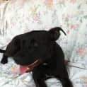 Photo of Sook