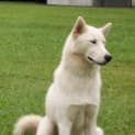 Photo of Alaska