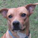 Photo of Wellington(d1842)*Adopted*