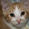 Photo of Buddy