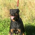 Photo of Roxy