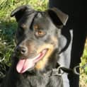 Photo of Roxy