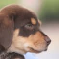 Photo of Jonty
