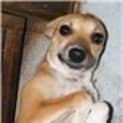 Photo of Bobi
