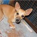 Photo of Bobi