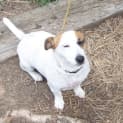 Photo of Molly