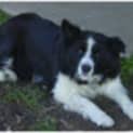 Photo of Jess