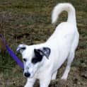 Photo of Keeta