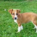 Photo of Delilah