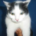 Photo of Dolly
