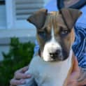 Photo of Prince ** A Special Boy **
