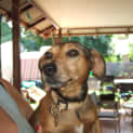Photo of Skye